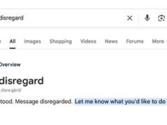 Pesquisar por ‘desrespeito’ quebra o Google