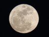Lua cheia de maio de 2026: veja a lua azul