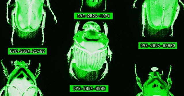 security_bug_gettyimages.jpg