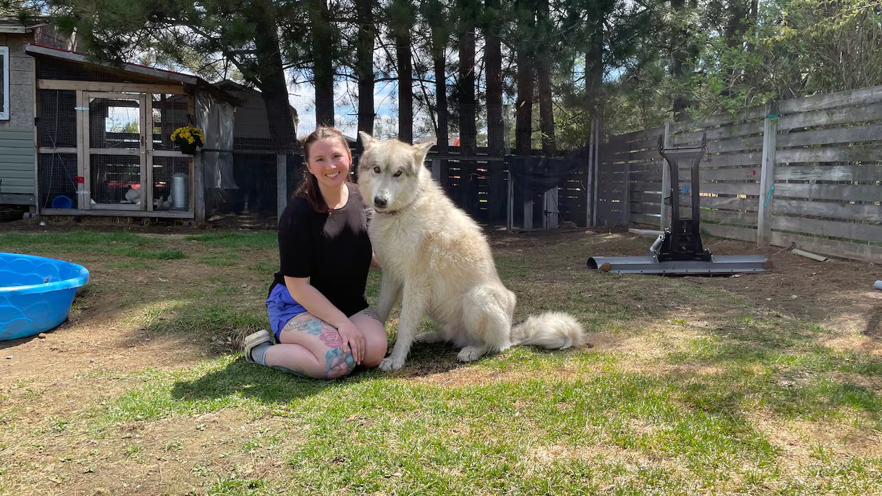 Família de Ontário luta para manter cão-lobo ‘gigante gentil’ após ameaça de apreensão pela província