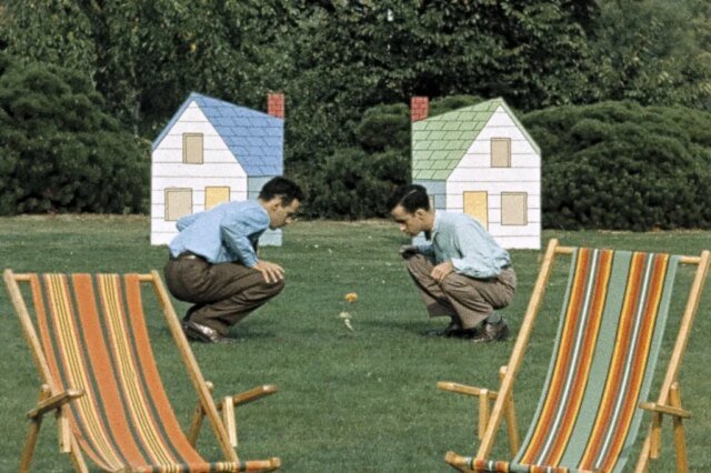 1_NEIGHBOURS.jpg