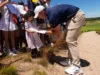 Rory McIlroy teme o impacto da ‘falsa economia’ do LIV Golf nos eventos do PGA Tour