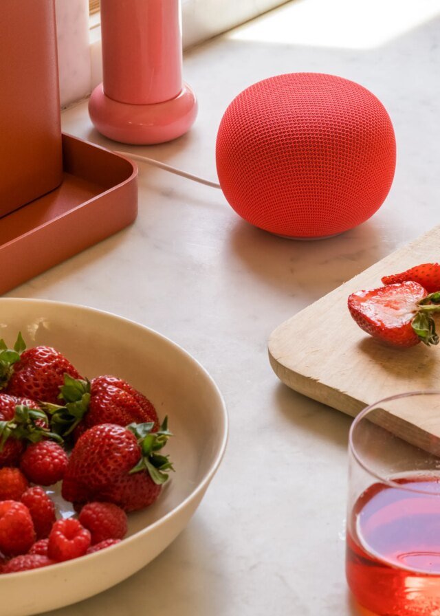 Google2520Home2520Speaker2520-2520Berry22520copy.jpg