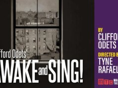 Renascimento na Broadway de ‘Awake And Sing!’, de Clifford Odets. Será estrelado por Danny Burstein, Jessica Hecht e Jeremy Shamos