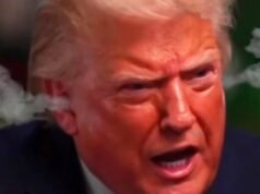 A Internet está memeando esta foto de Donald Trump "Conheça a imprensa" Colapso e as piadas estão rolando