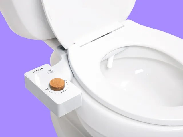 TUSHY-Classic-3.0-Bidet-Gear.jpg
