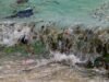 A saúde do oceano está se deteriorando em várias frentes, alertam cientistas da ONU