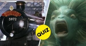 Aqui estão 17 aleatórios "Harry Potter" Perguntas, os verdadeiros fãs deveriam passar por isso