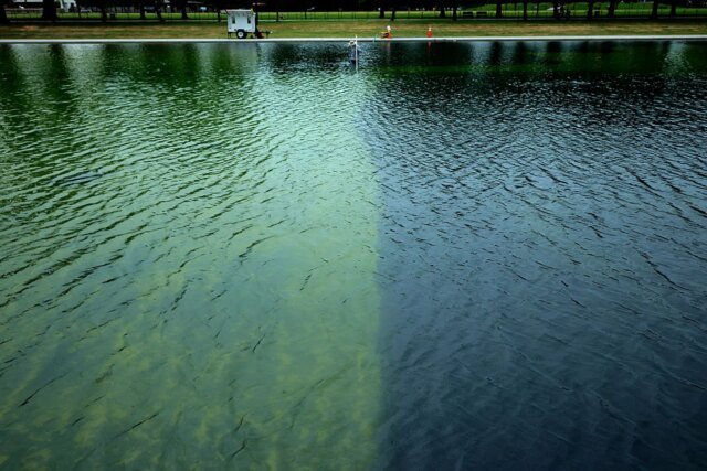 algae_bloom.jpg