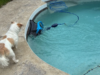 Eu testo limpadores robóticos de piscinas para o trabalho. Este é o que eu uso na minha própria piscina