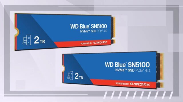 wd-blue-2.jpg